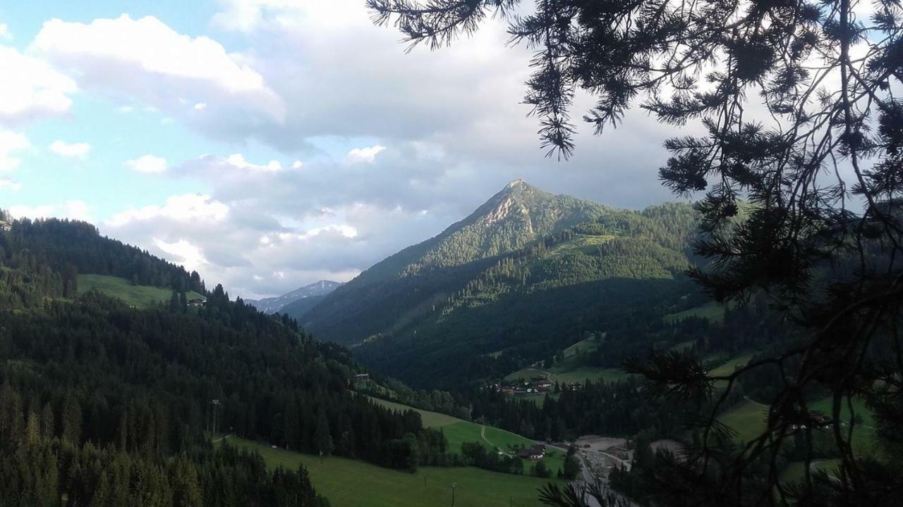 Appartement Bettina Mitterwallner Altenmarkt im Pongau Zewnętrze zdjęcie