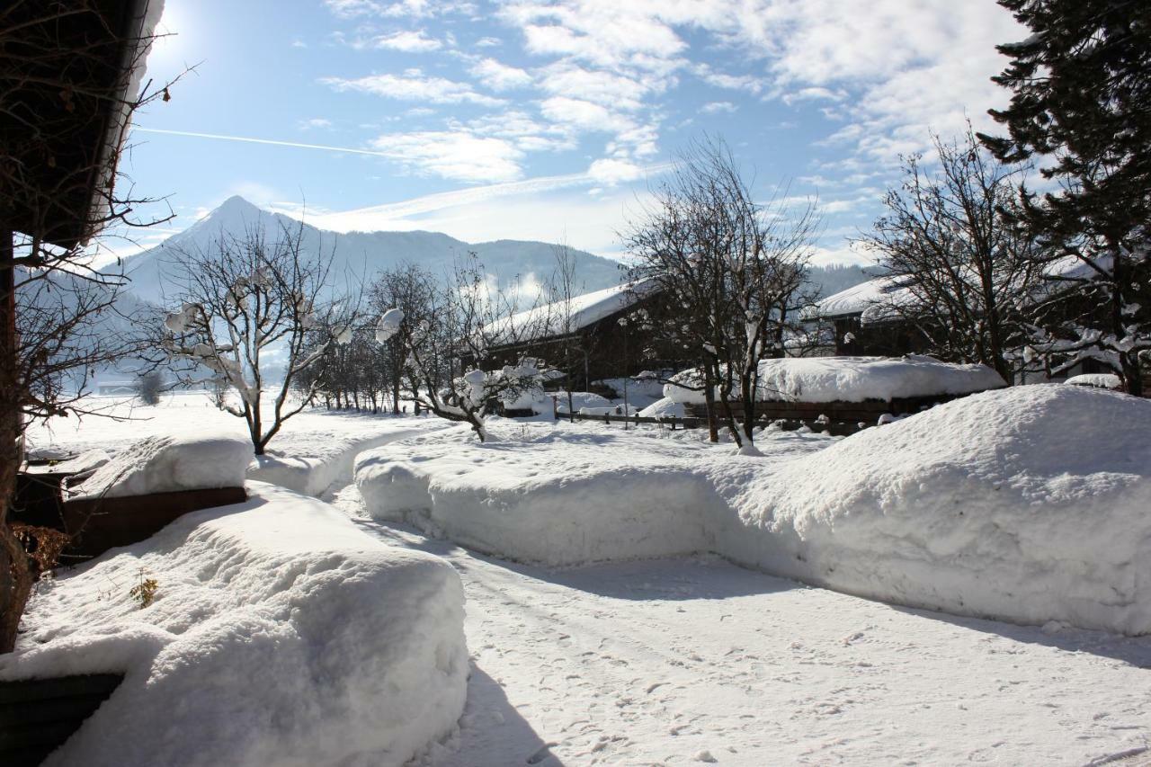 Appartement Bettina Mitterwallner Altenmarkt im Pongau Zewnętrze zdjęcie